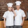 cho thuê áo bếp