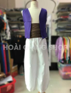 cho thuê trang phục aladin