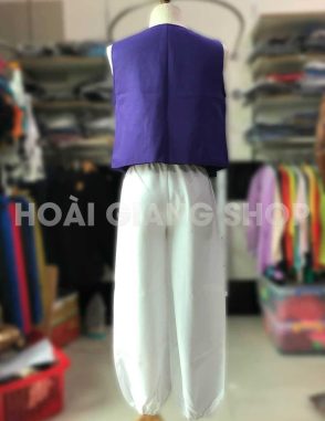 cho thuê trang phục aladin