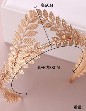 thuê vương miện nam