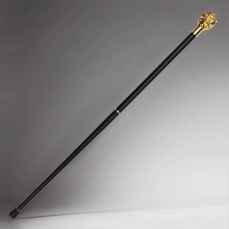 bán gậy baton trình diễn vest